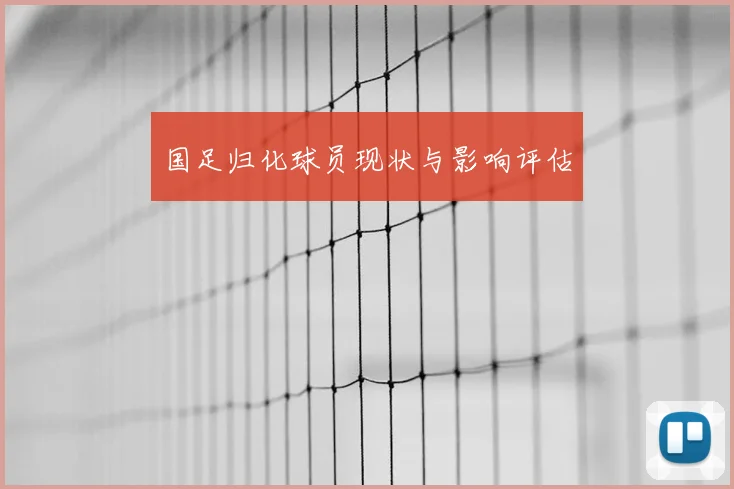 国足归化球员现状与影响评估