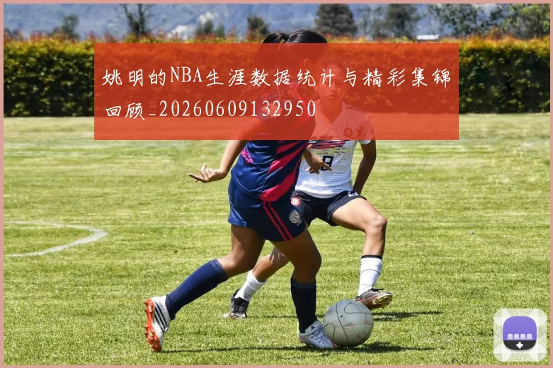 姚明的NBA生涯数据统计与精彩集锦回顾_20260609132950